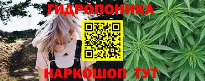гашиш Заводоуковск