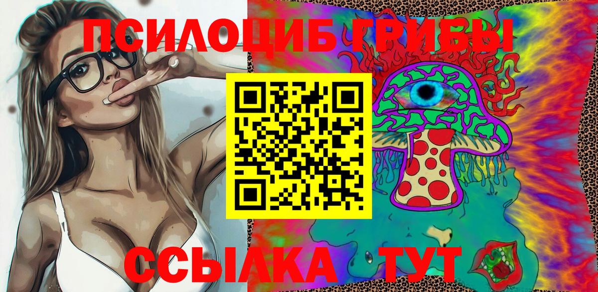 Галлюциногенные грибы Cubensis Лесозаводск