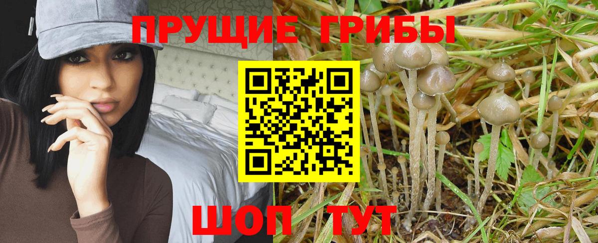 Лесозаводск  Галлюциногенные грибы Magic Shrooms  Вход с VPN 
